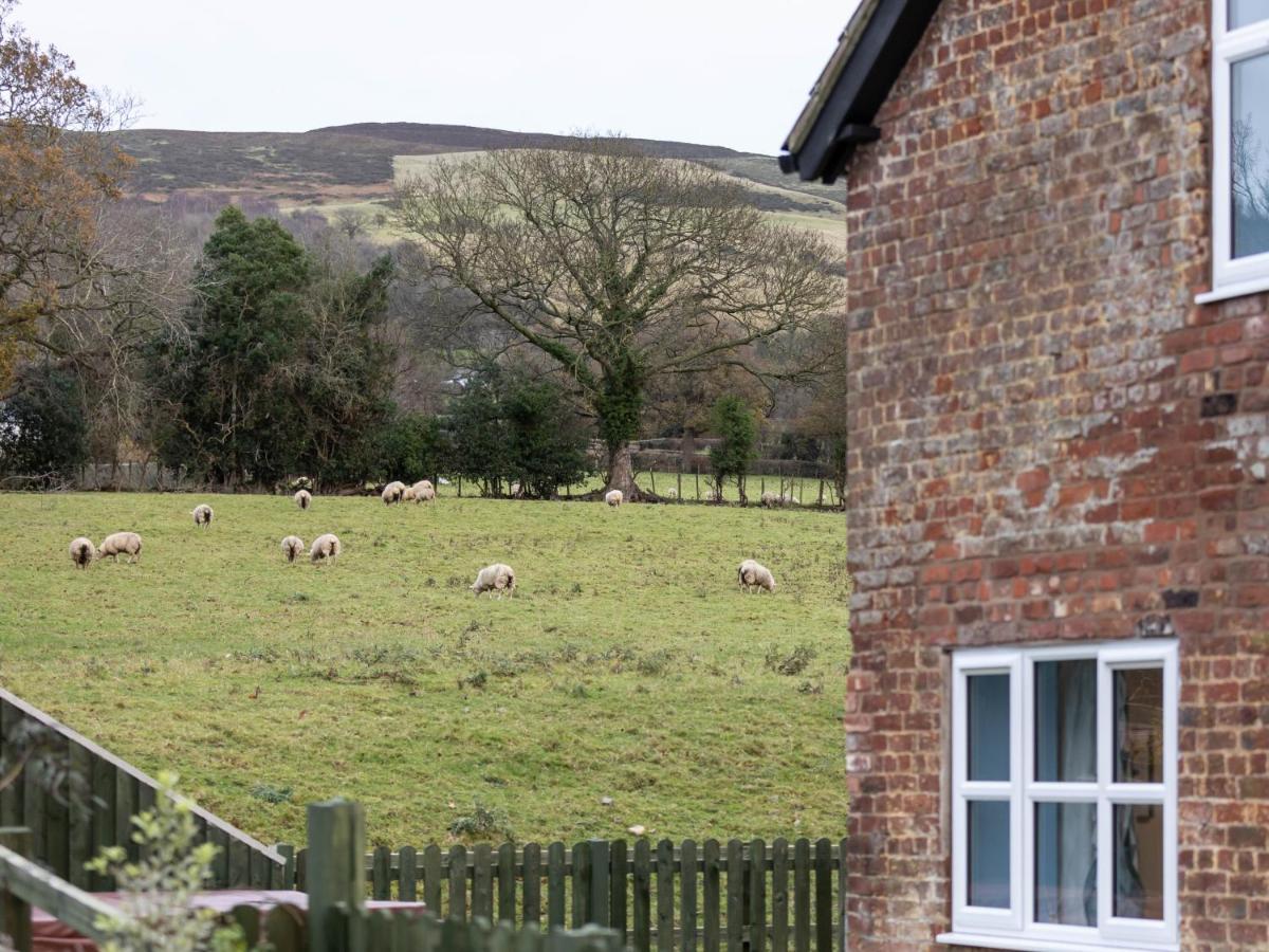 Caer Fedwen Barns Clwyd Cottage Two Bed, Barn Conversion With Private Hot Tub Bodfari Buitenkant foto
